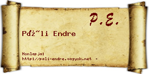 Páli Endre névjegykártya